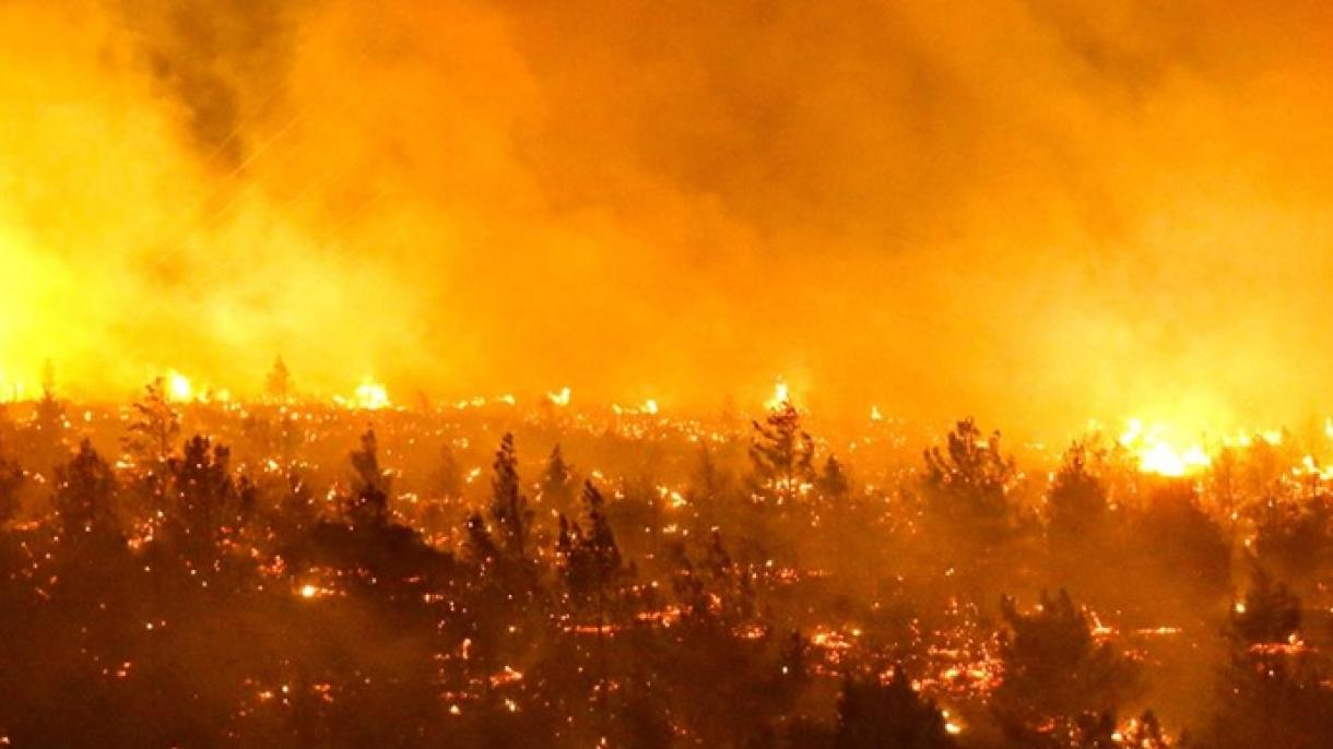 Voluntarios de Santo Tomás despliegan ayuda para damnificados por incendios forestales